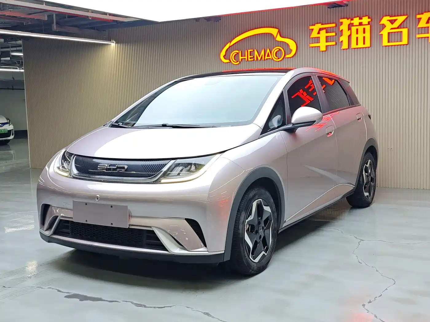 BYD Dolphin 2021 Model 405km Fashion Edition фото 2