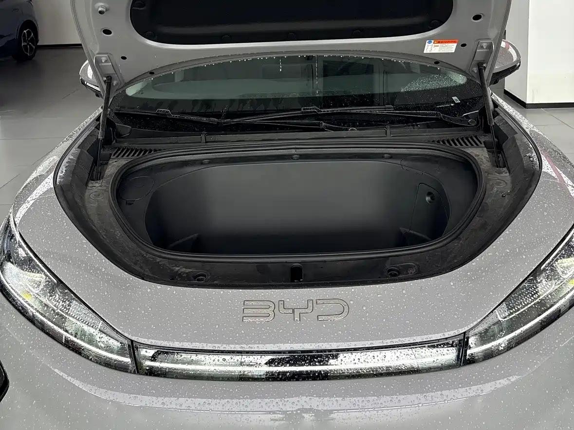 BYD Hai Shi 05 EV 2025 520KM Flagship Smart Navigation Edition фото 12