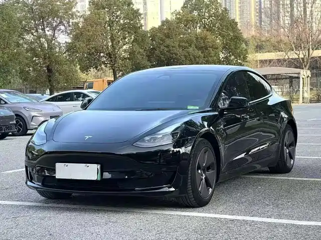 Tesla Model 3 2020 Standard Range Rear-Wheel Drive Upgrade
