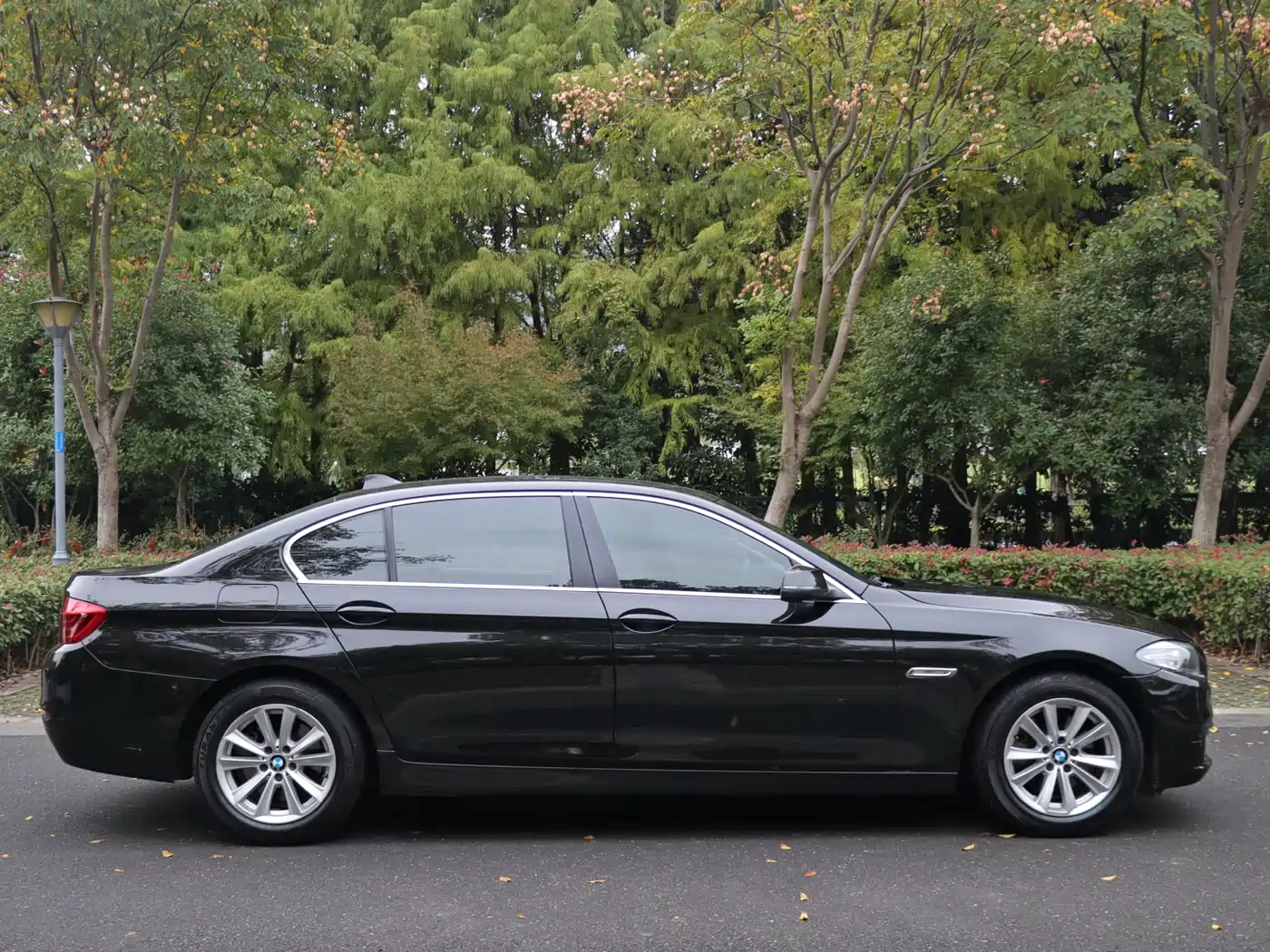 BMW 5 Series 2014 520Li Elegance фото 7