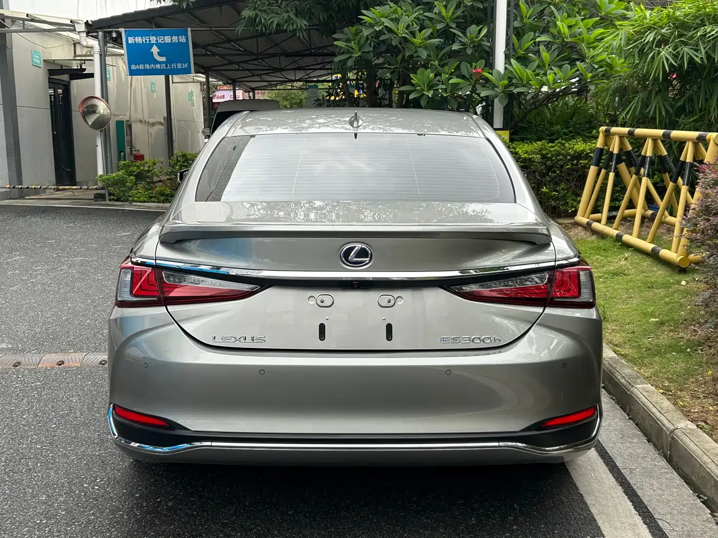 Lexus ES 2018 300h Excellence Edition China V фото 6