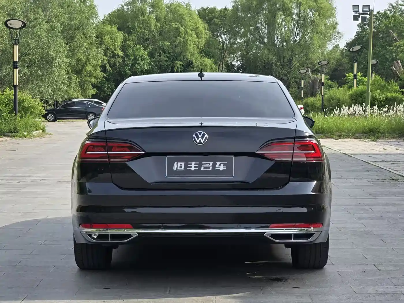 Volkswagen Phideon 2021 380TSI Luxury Edition фото 4