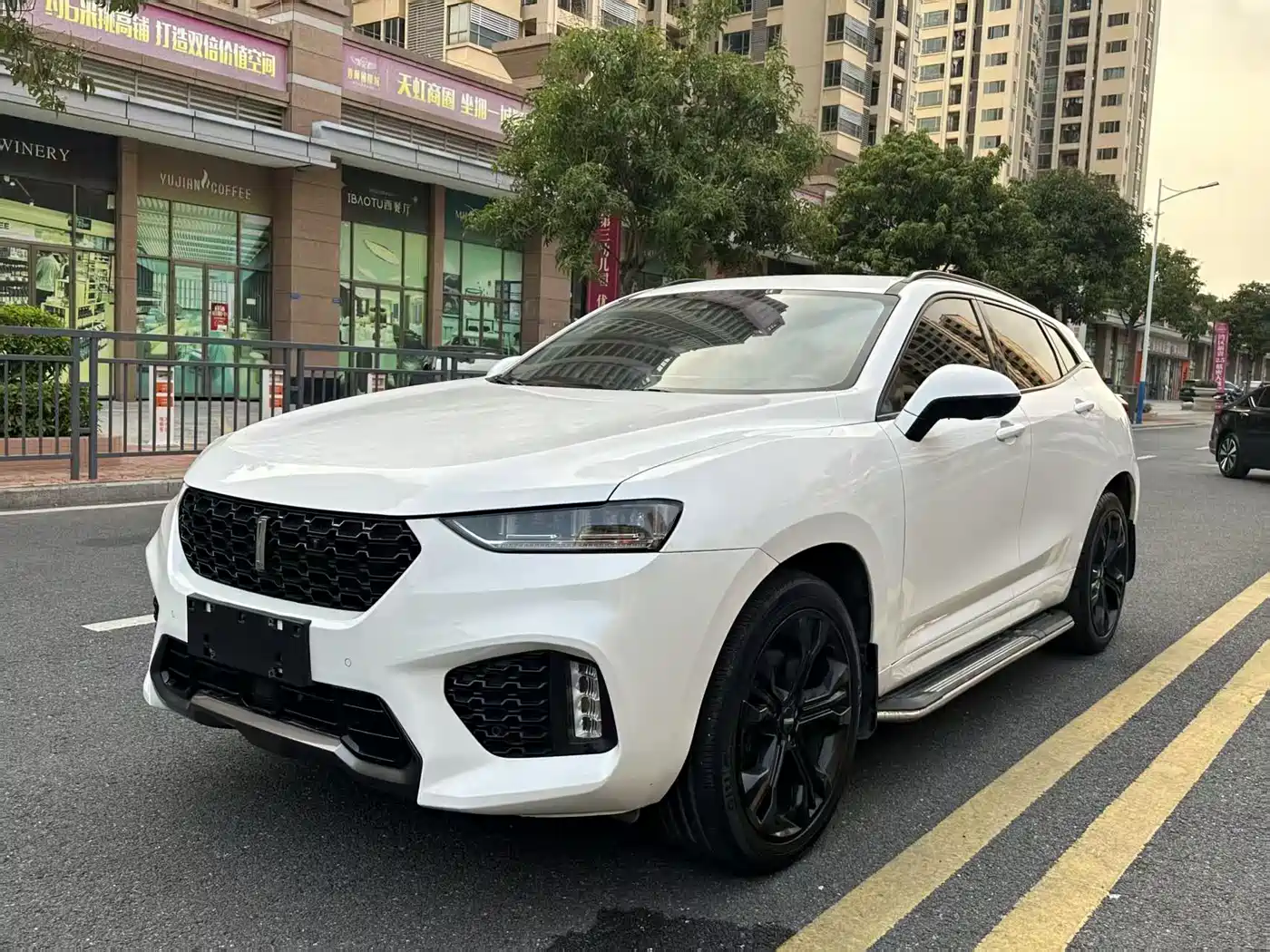 WEY VV7 2017 2.0T Flagship