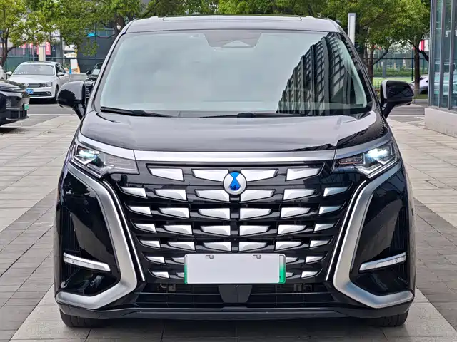 Denza D9 2022 DM-i 970 All-Wheel Drive Honor Edition — фото 2