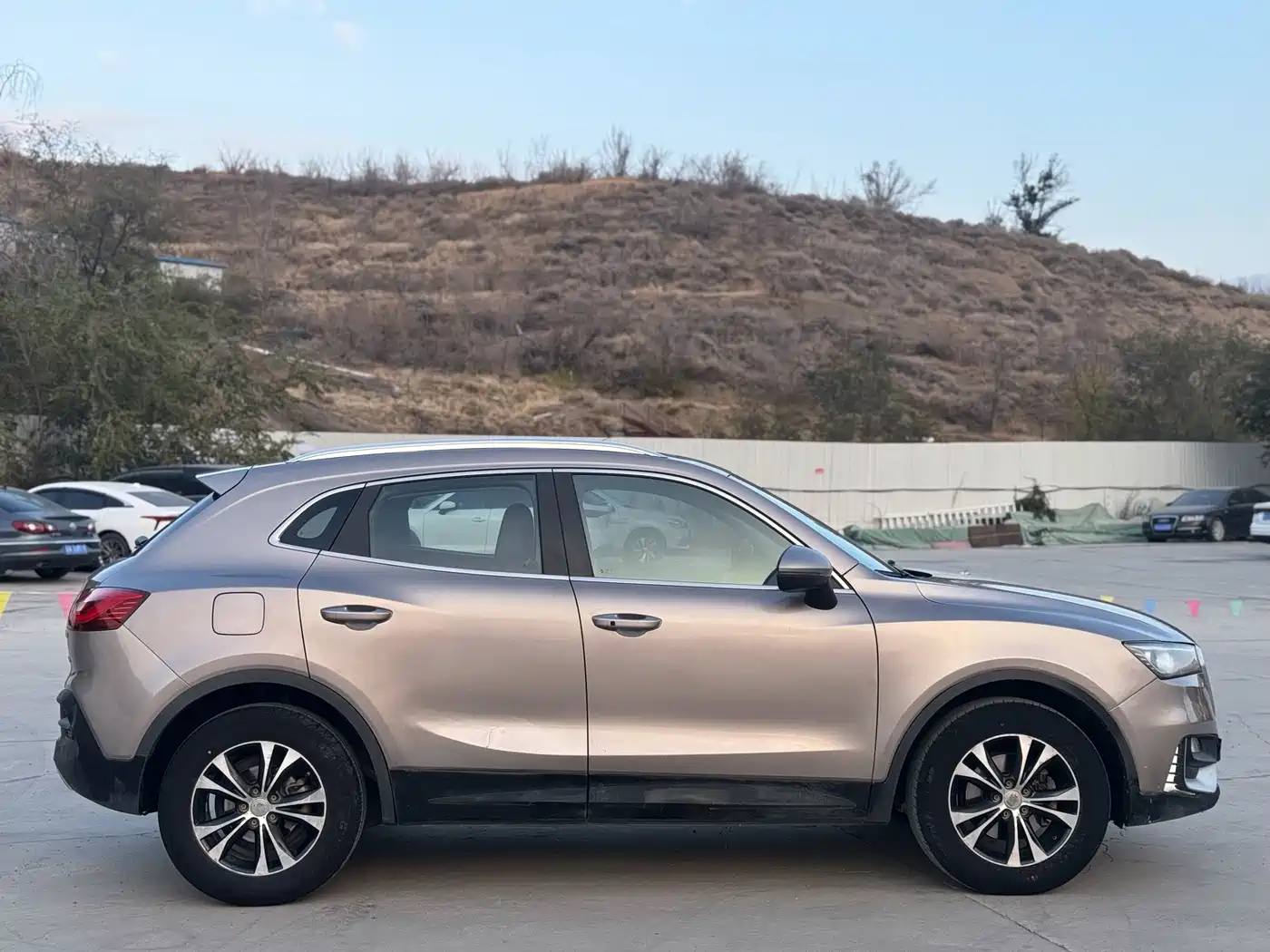 Borgward BX5 2019 2017 Model 20TGDI Automatic 2WD Vanguard Type