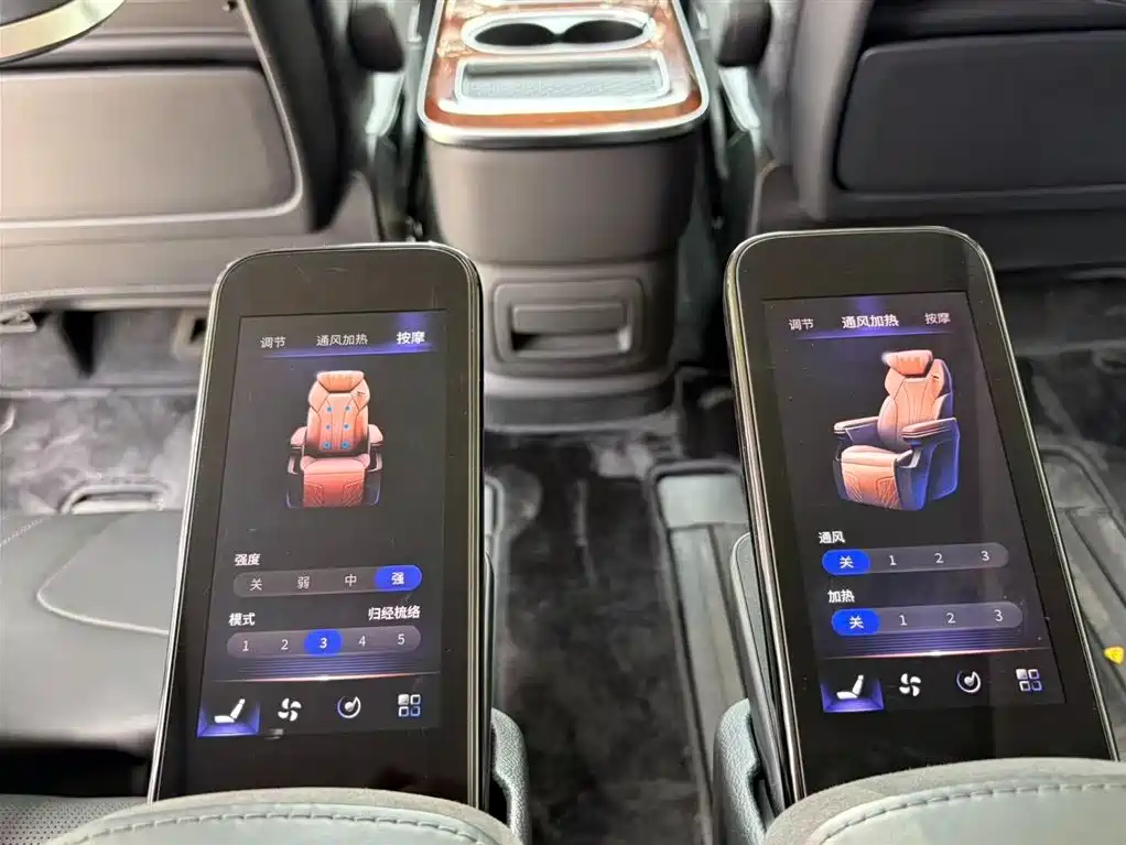 Hongqi HQ9 PHEV 2024 Model 2.0T AWD Luxury Edition фото 11