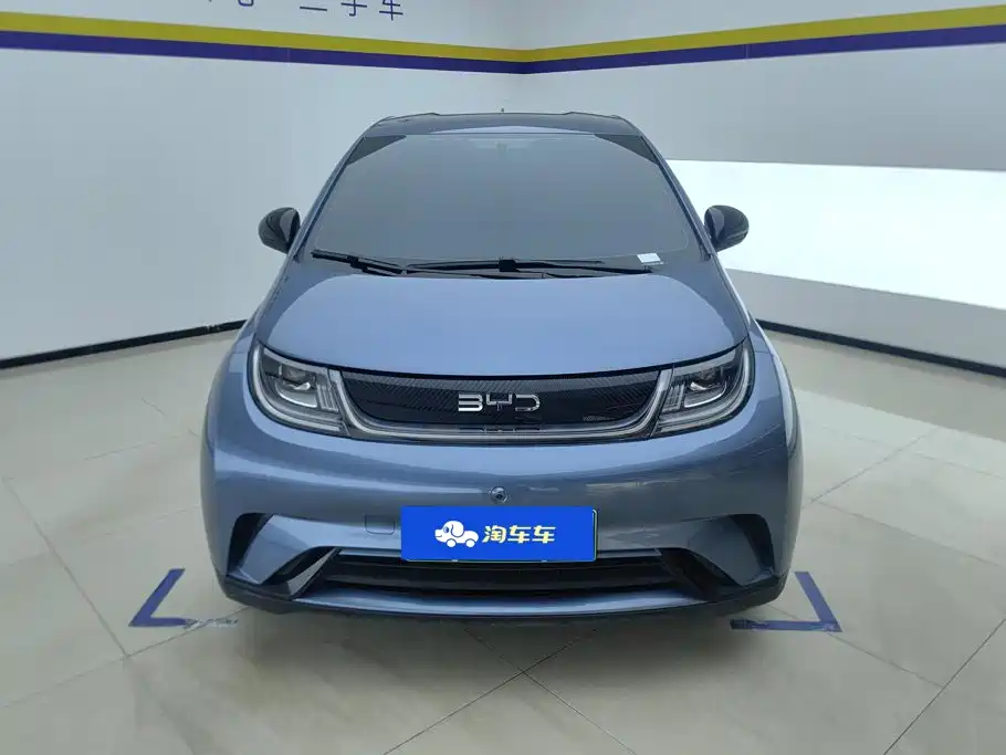 2026 BYD Dolphin