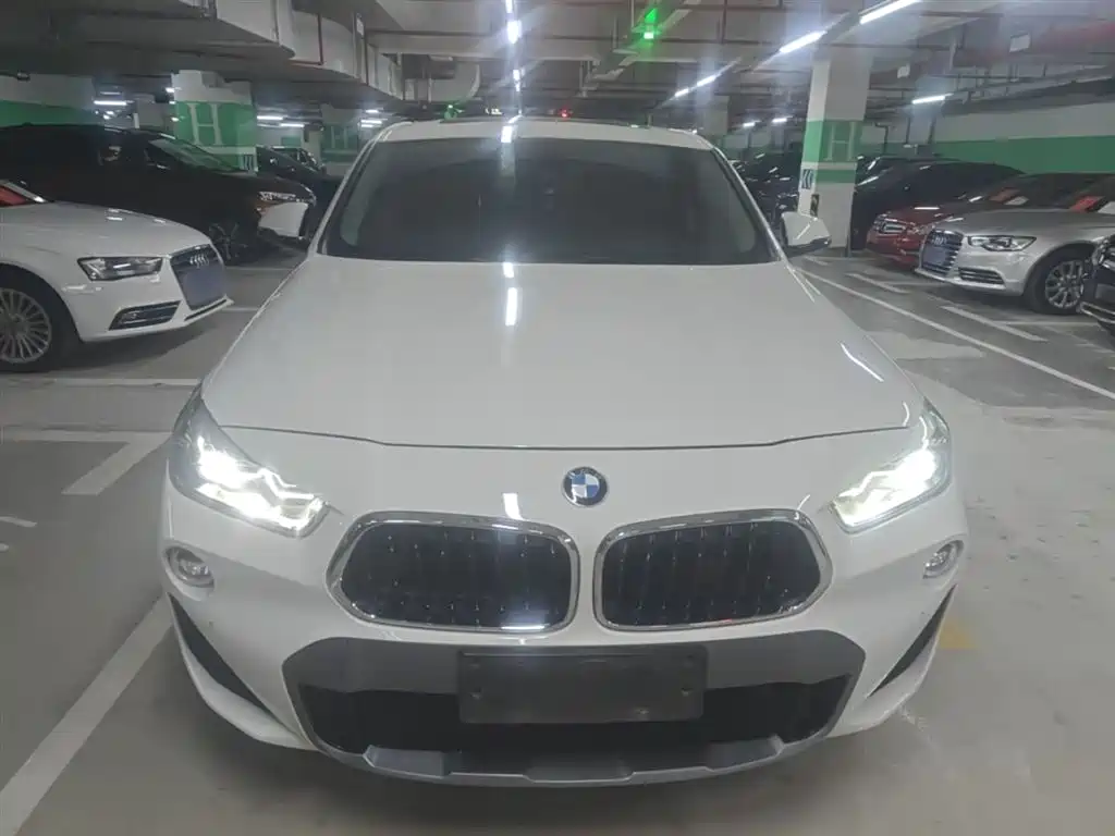 BMW X2 (Import) 2019 sDrive20i M Off-Road Package China VI фото 3