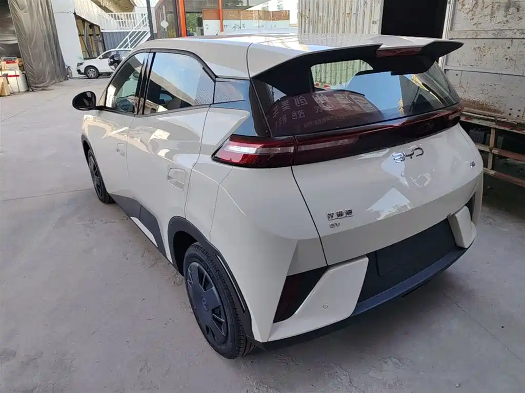 BYD Seagull 2025 Smart Drive Edition 305km Vitality Version фото 5