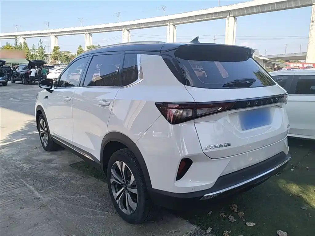 Фото 5 - Wuling Motors Wuling Xingchen