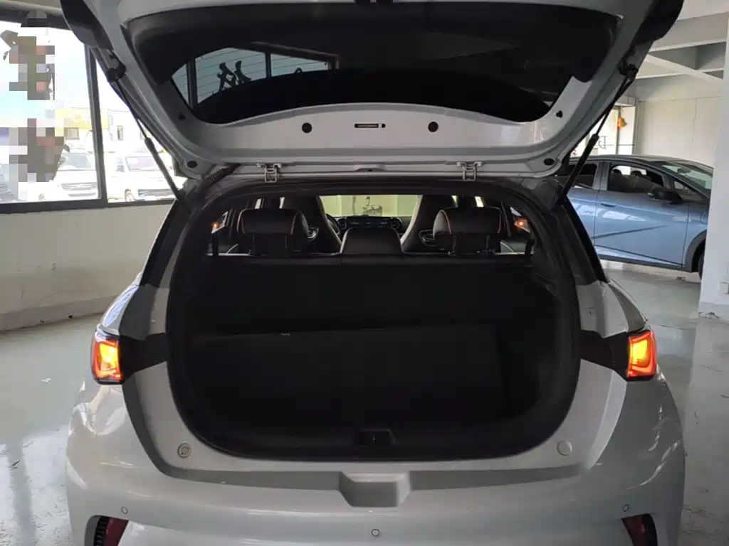 BYD Dolphin 2021 2021 Model 405km Fashion Edition