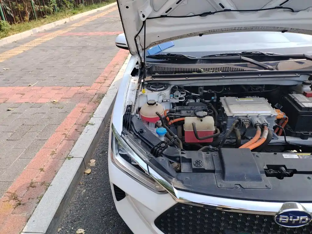 BYD e2 2020 2019 Long Range Yao·Luxury Model