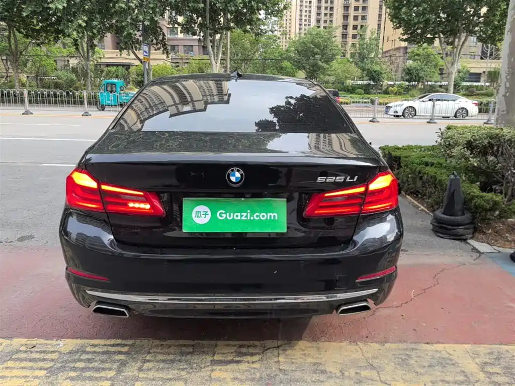 BMW 5 Series 2020 525Li Luxury Package фото 6