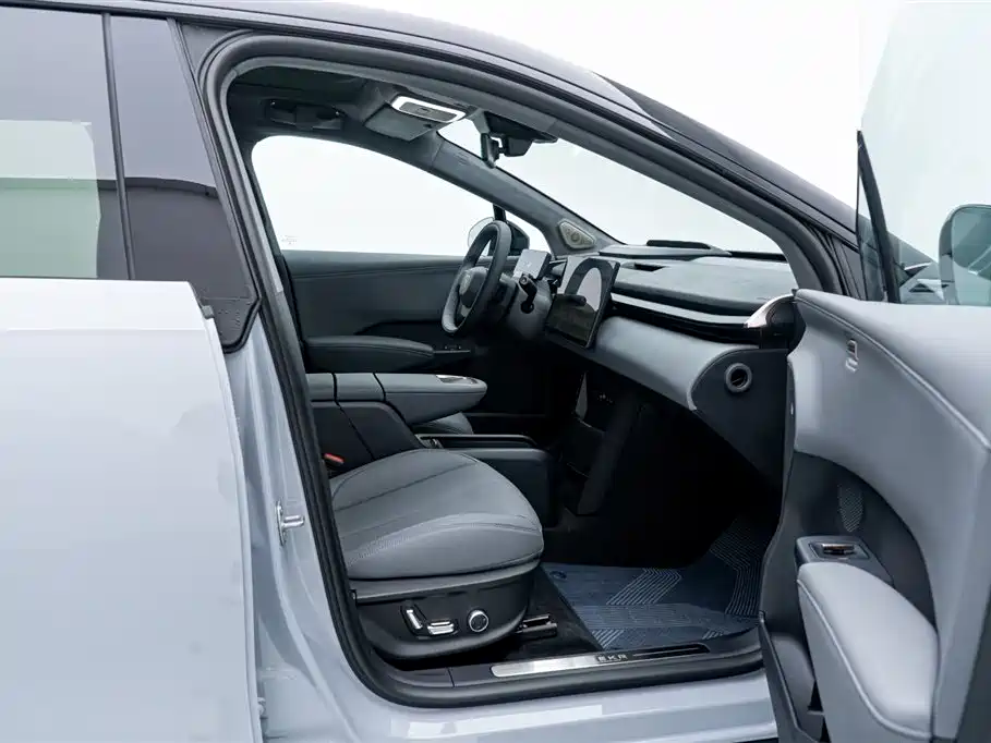 ZEEKR X 2024 2025 5-Seater Long Range Edition