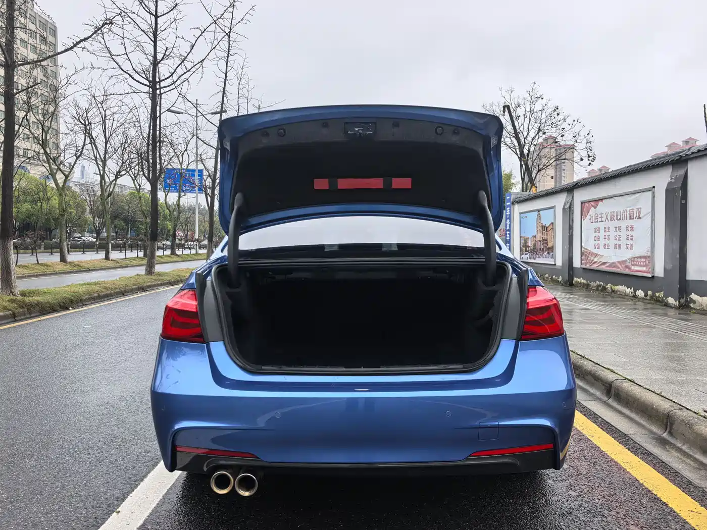 BMW 3 Series 2019 320Li M Sport Package фото 15