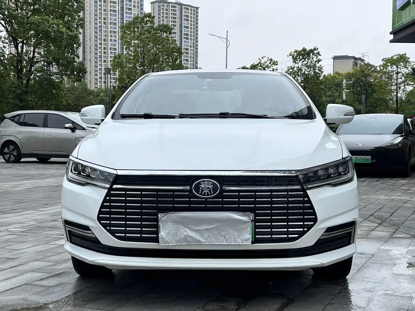 BYD Qin New Energy 2020 2019 Travel Edition