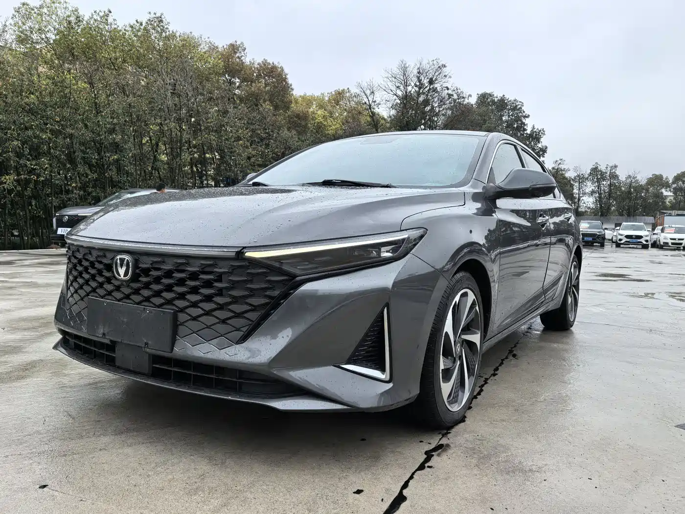 Changan Ruicheng PLUS 2022 2023 1.5T DCT Premium
