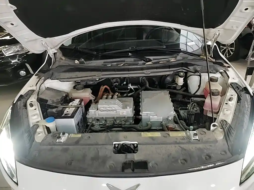 XPeng G3 2020 2019 Premium Edition