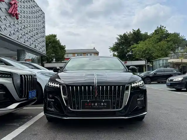 Hongqi H5 2024 2.0T Automatic Smart Connect Flag Smooth Edition — фото 2