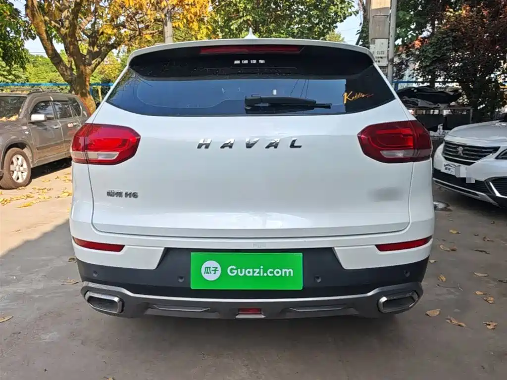 Haval H6 2020 1.5GDIT Automatic Platinum Champion Edition фото 6