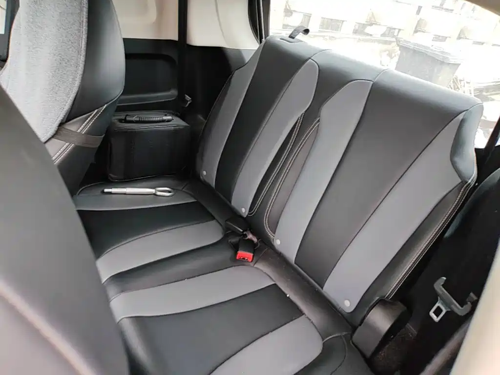 Roewe Clever 2023 2022 311km Vitality Bobo Edition