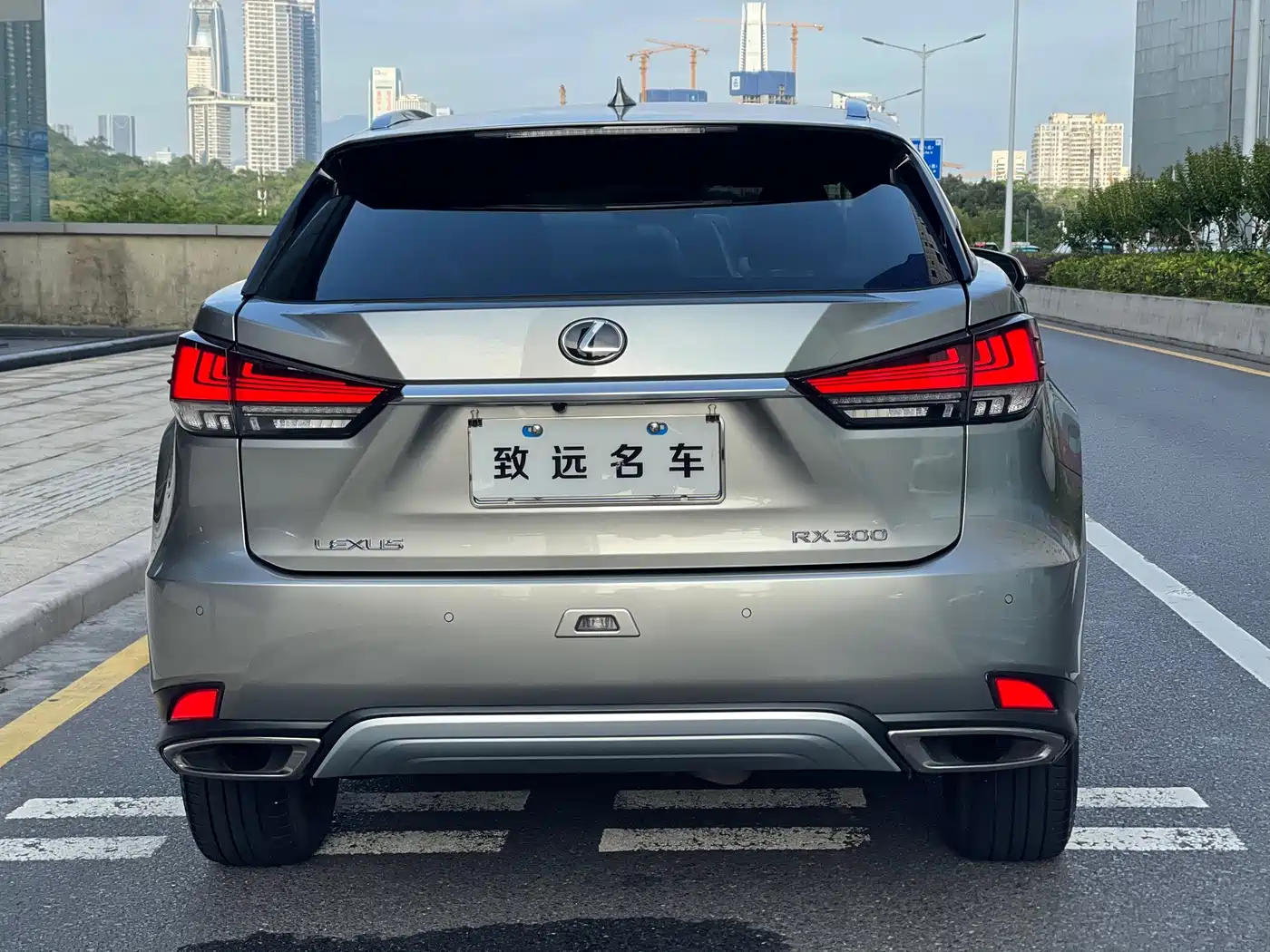 LEXUS RX