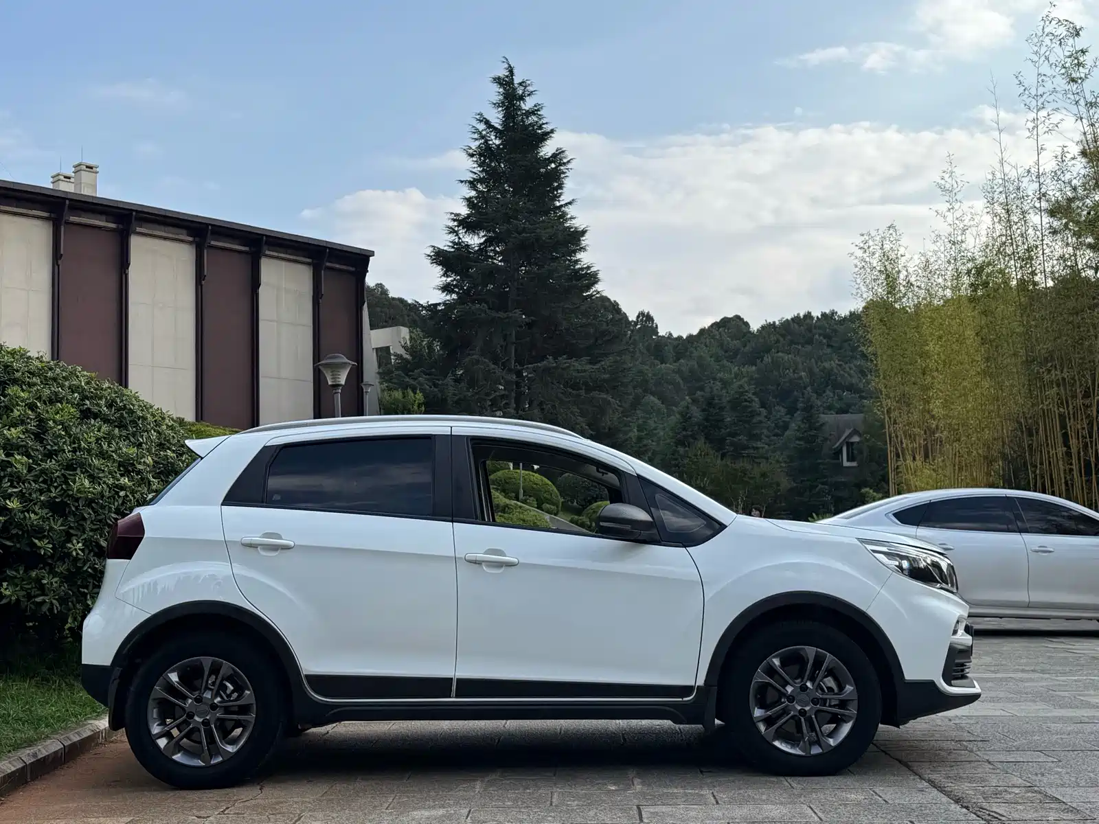 Фото 5 - Geely Vision X3