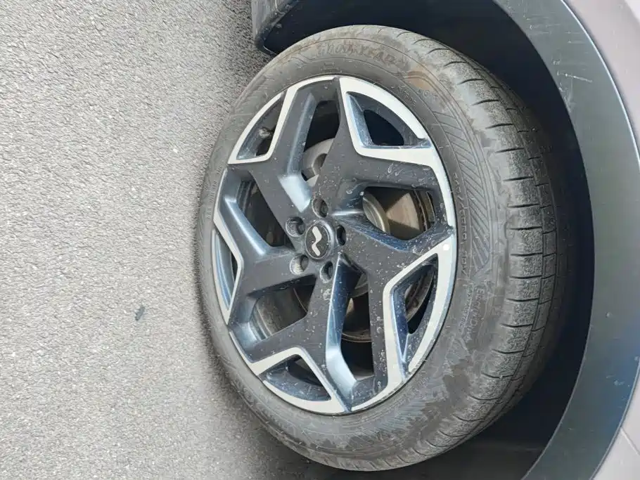 Ledao L60 2026 2024 60kWh AWD Version