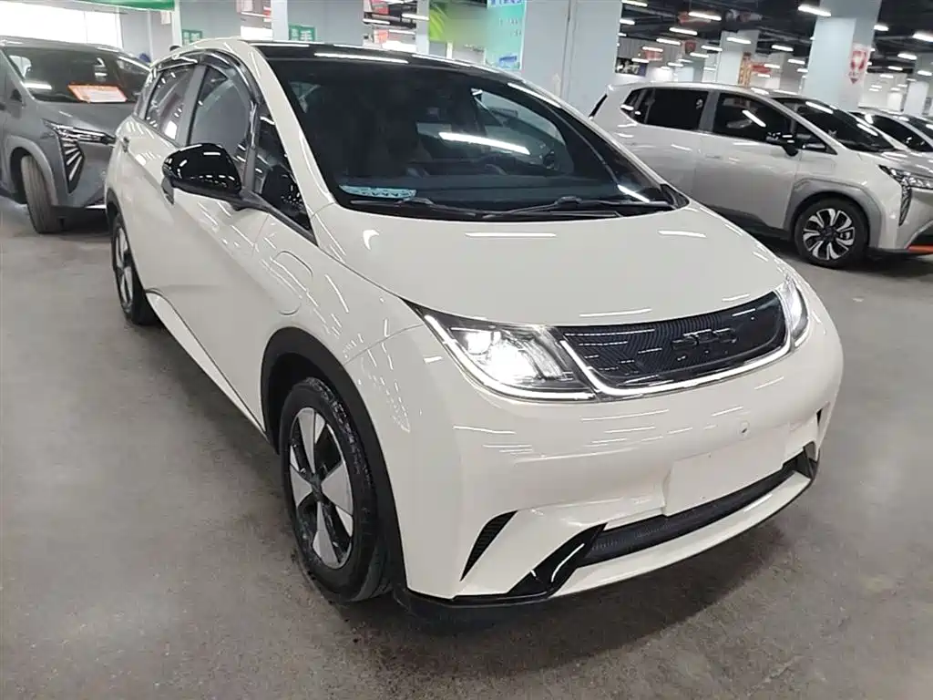 BYD Dolphin 2023 420km Fashion Edition фото 4