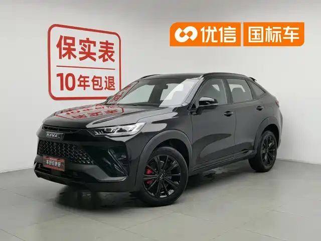 Haval Haval H6S 2022 Model 2.0T 2WD Joy Run Edition