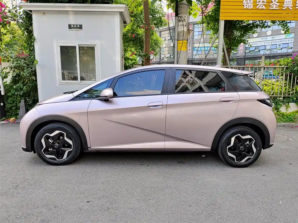 BYD Dolphin 2021 Model 405km Fashion Edition фото 3