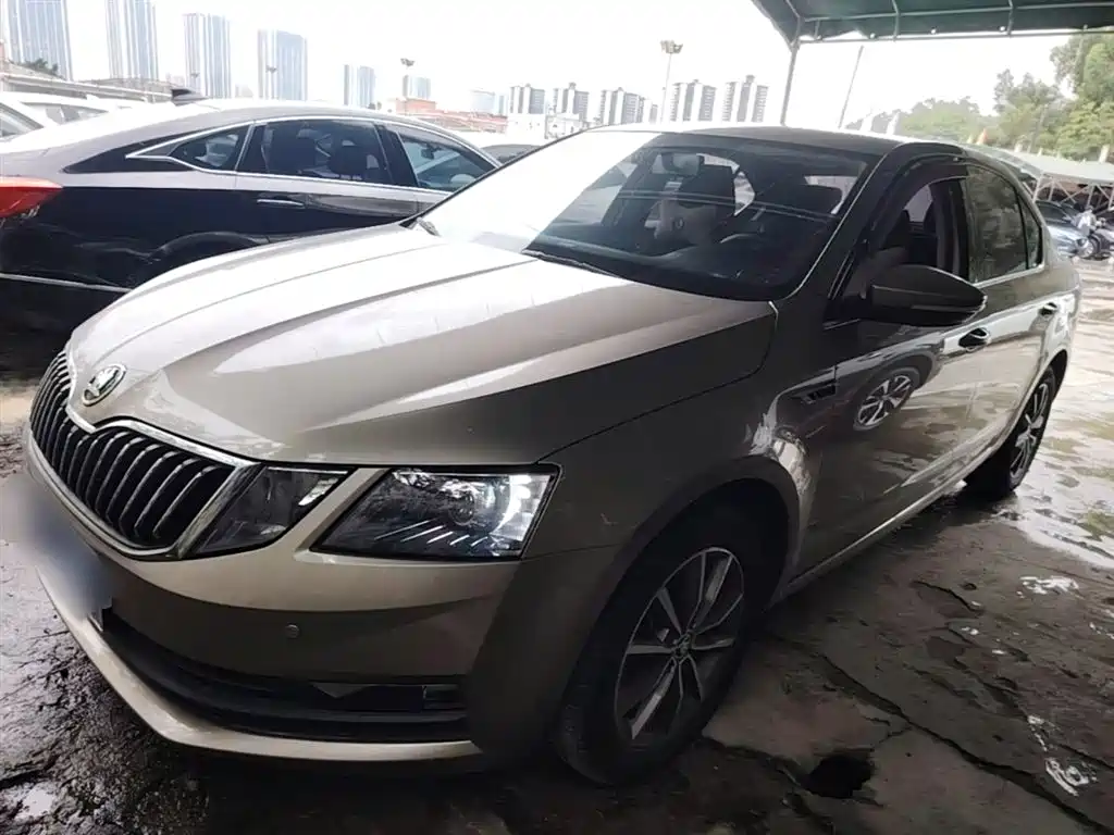 Škoda Octavia 2019 TSI230 DSG Zhixing Comfort Edition China VI фото 2