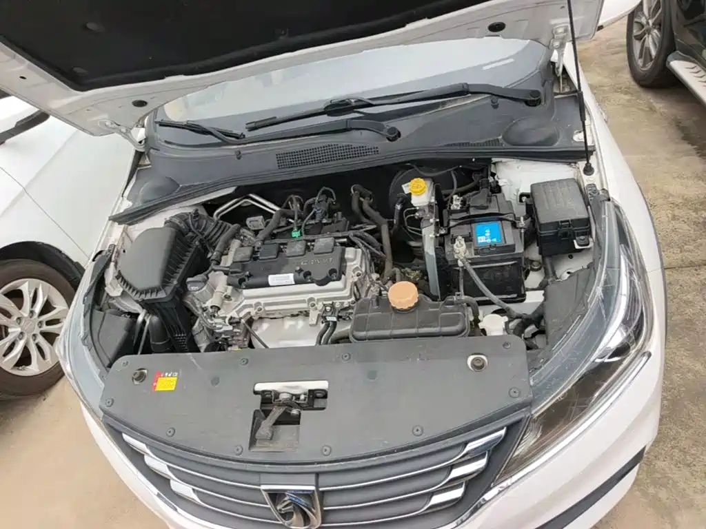 Baojun 310W 2021 2017 1.5L Manual Comfort China VI