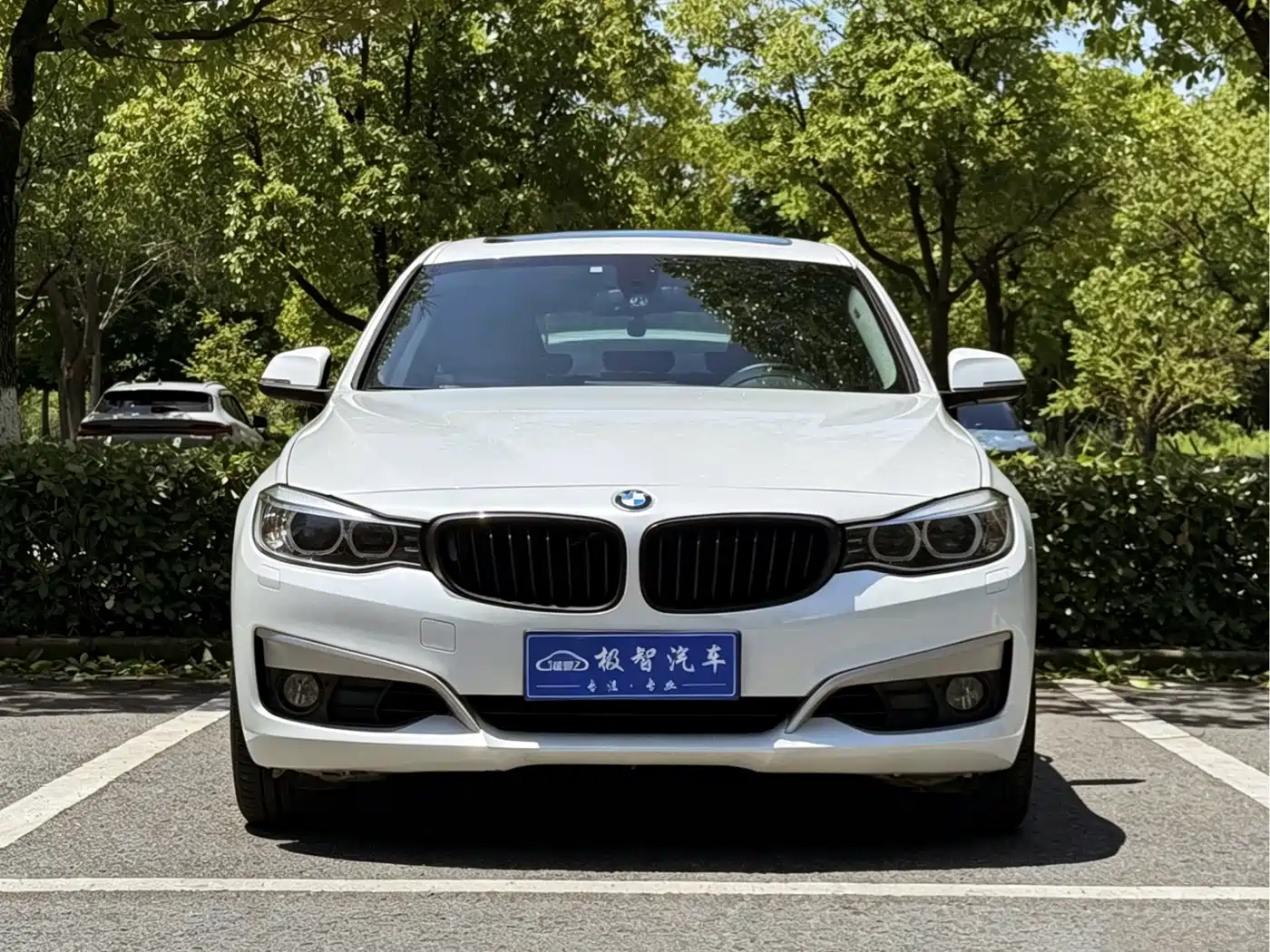 BMW 3 Series GT 2014 320i Design Package фото 2
