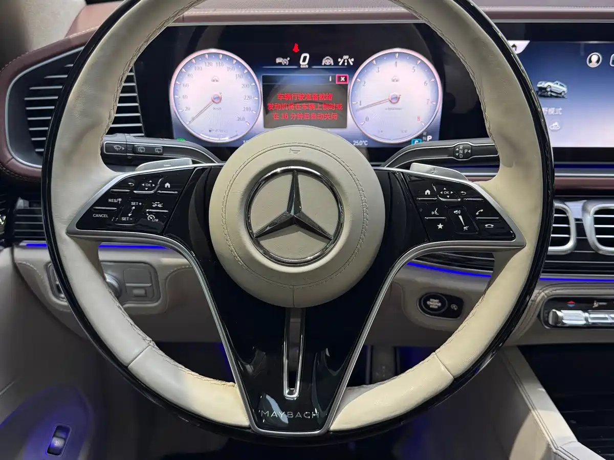 Mercedes-Benz Maybach GLS 2024 GLS 480 4MATIC фото 10