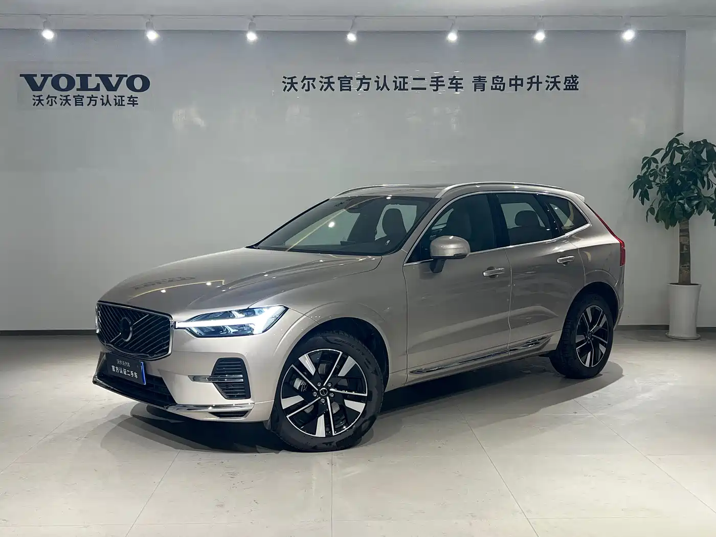 Volvo XC60 2026 Model B5 AWD Premium Luxury