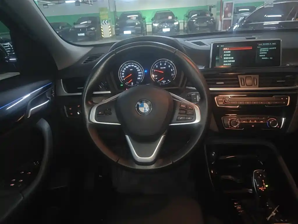 BMW X2 (Import) 2019 sDrive20i M Off-Road Package China VI фото 11