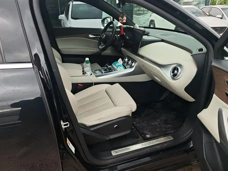 Denza X 2020 Model PHEV Flagship Edition фото 8
