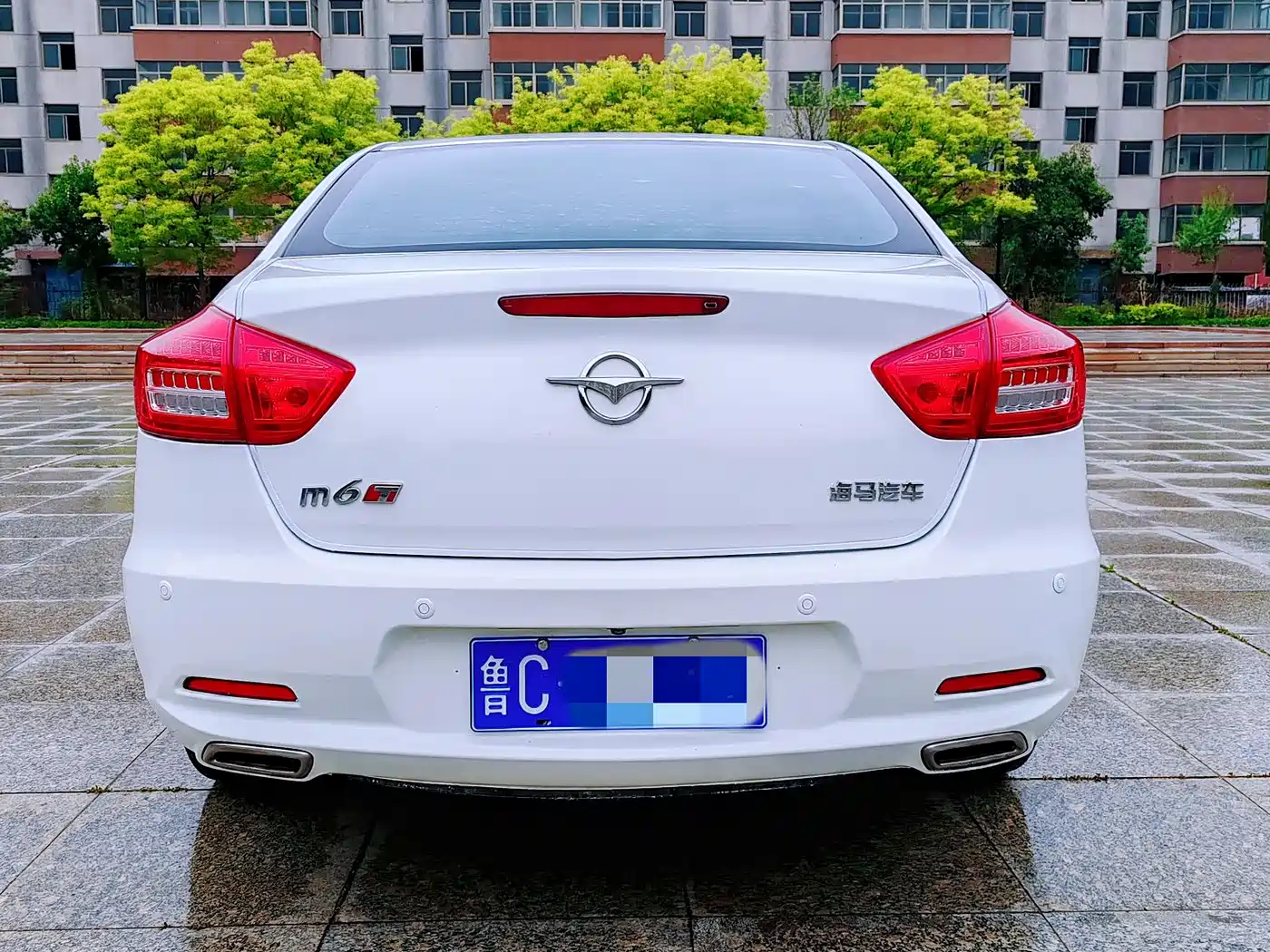 SEAHORSE M6