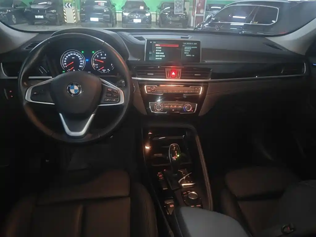 BMW X2 (Import) 2019 sDrive20i M Off-Road Package China VI фото 10