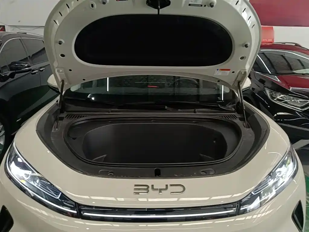 BYD Hai Shi 05 EV 2025 520KM Flagship Smart Navigation Edition фото 20