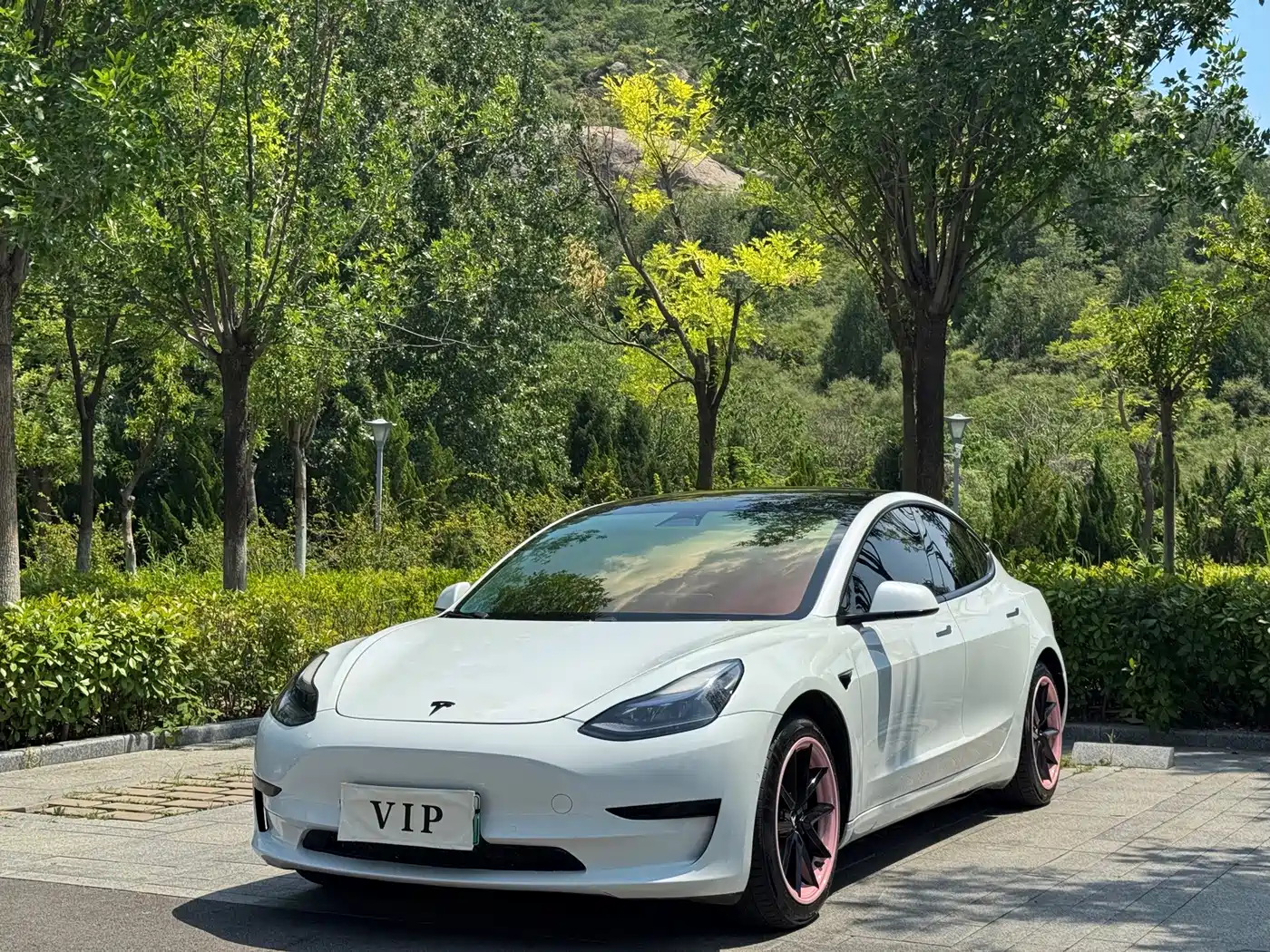 Tesla Model 3 2021