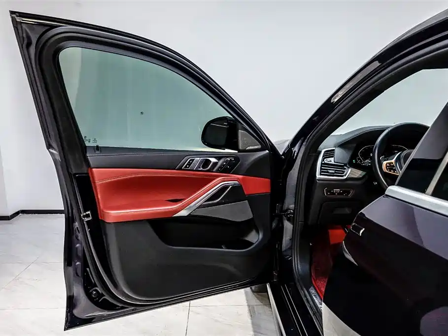 BMW X6 2021 Facelift xDrive40i Premium M Sport Package фото 8