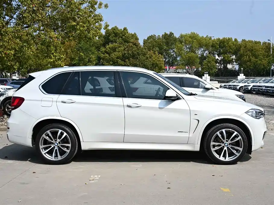 BMW X5 (Import) 2017 xDrive35i M Luxury Sport фото 7
