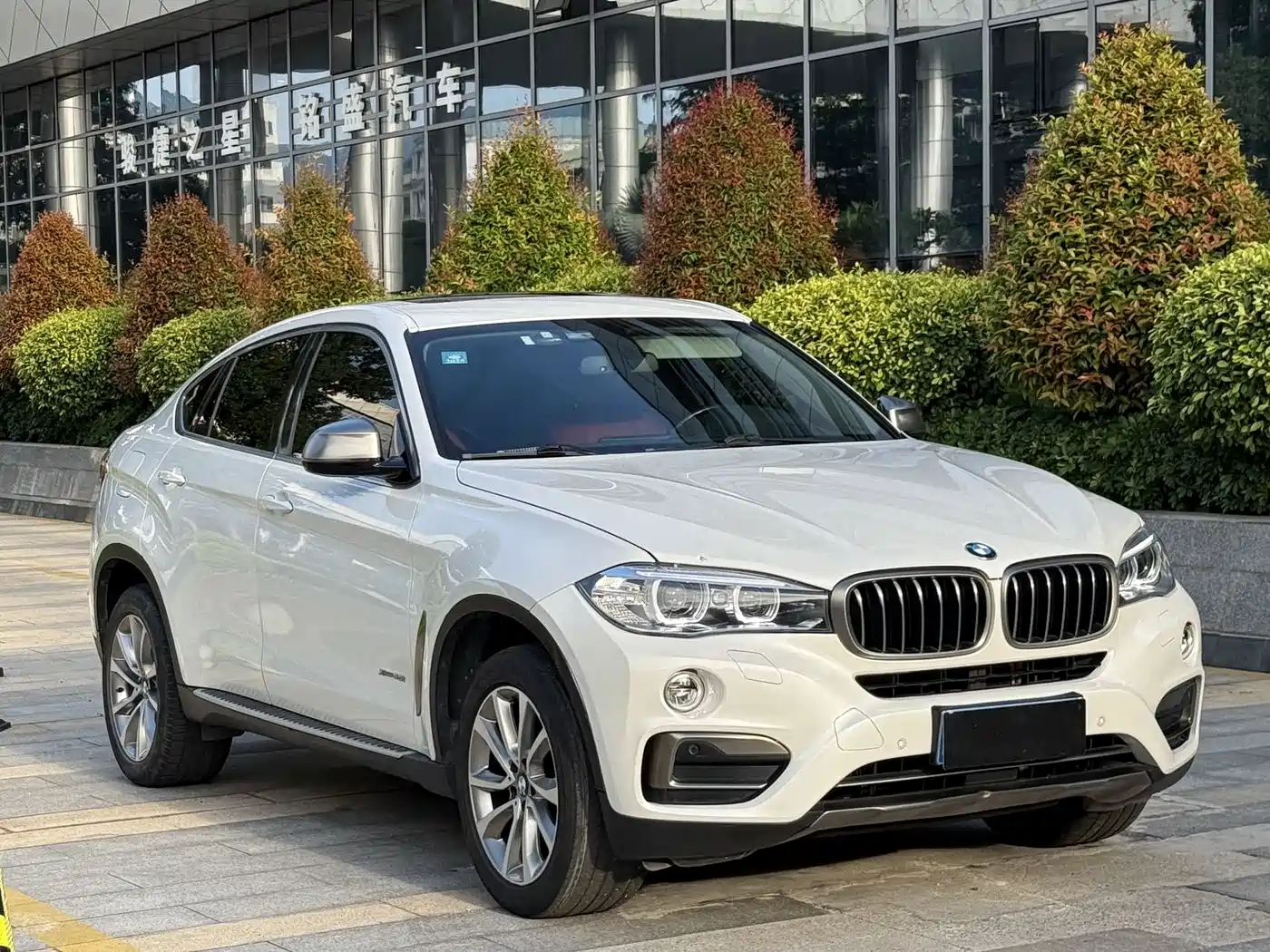 BMW X6 2015 xDrive35i Leading Type фото 3