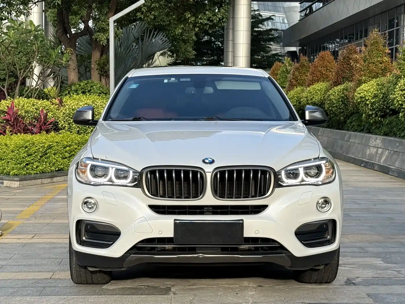 BMW X6 2015 xDrive35i Leading Type фото 2