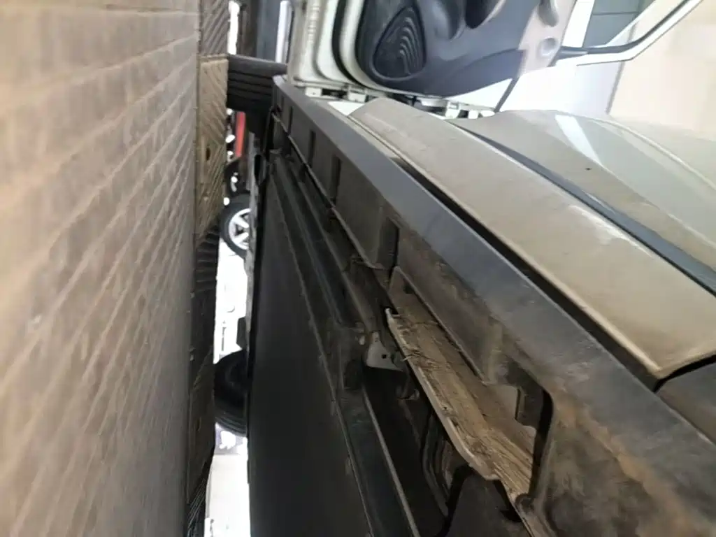 BYD Dolphin 2026 2025 420km Freedom Edition
