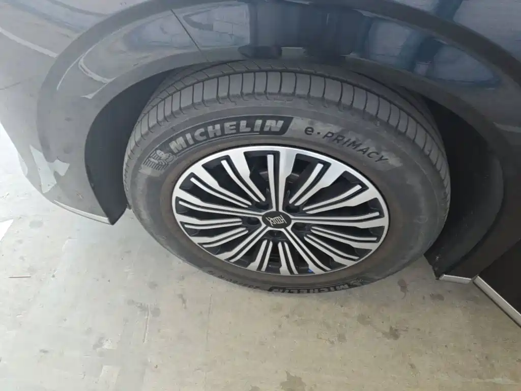 BYD Xia 2025 2025 DM-i 1.5T 180km Excellence