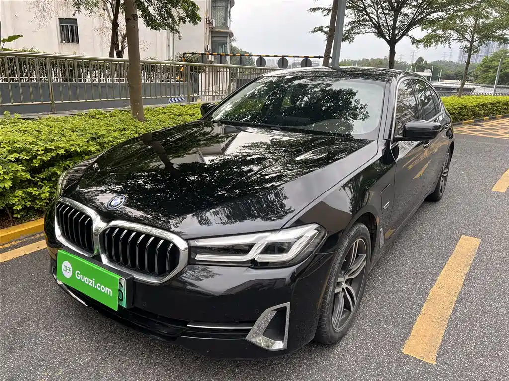 BMW 5 Series New Energy 2022 535Le Luxury Package
