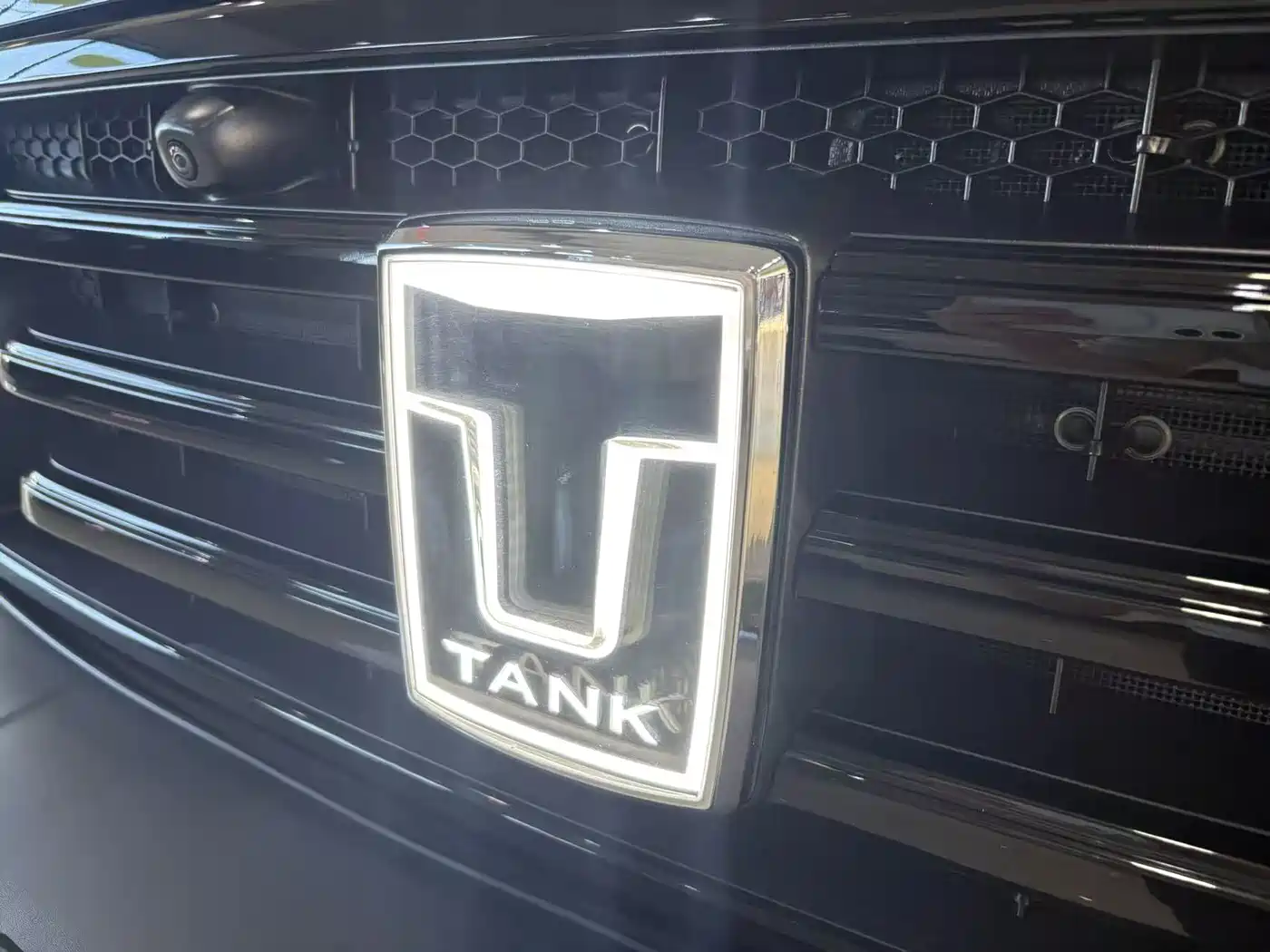 TANK 300